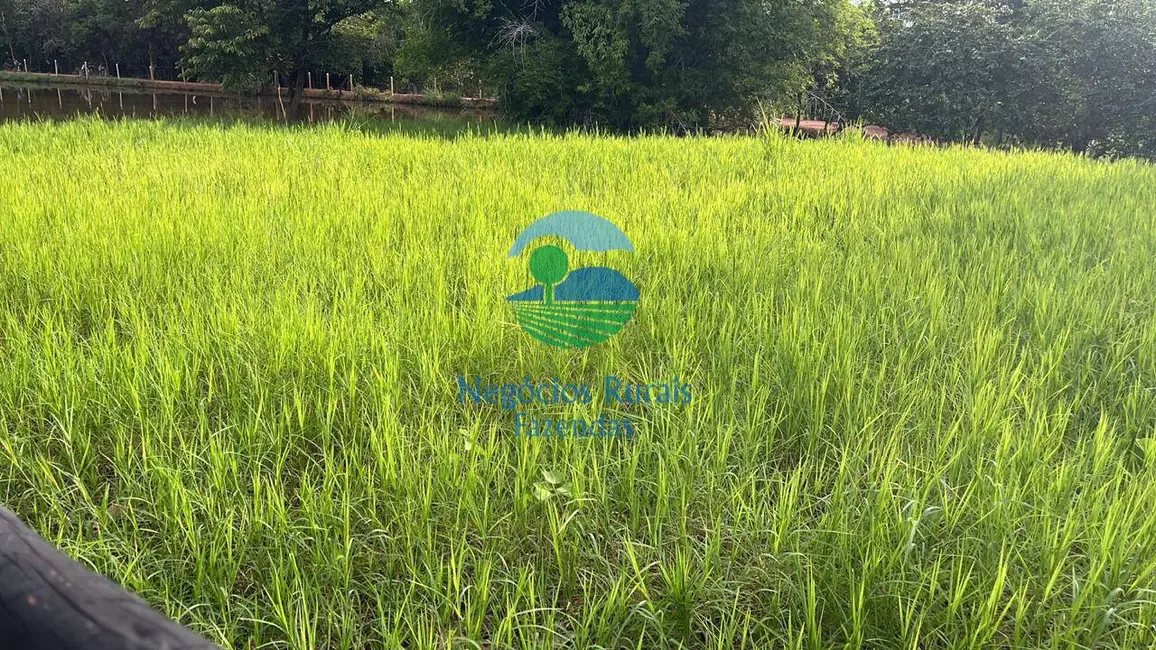 Foto 9 de Fazenda / Haras com 5 quartos à venda, 208m2 em Crixas - GO