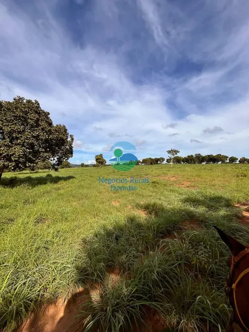 Foto 8 de Fazenda / Haras com 5 quartos à venda, 208m2 em Crixas - GO