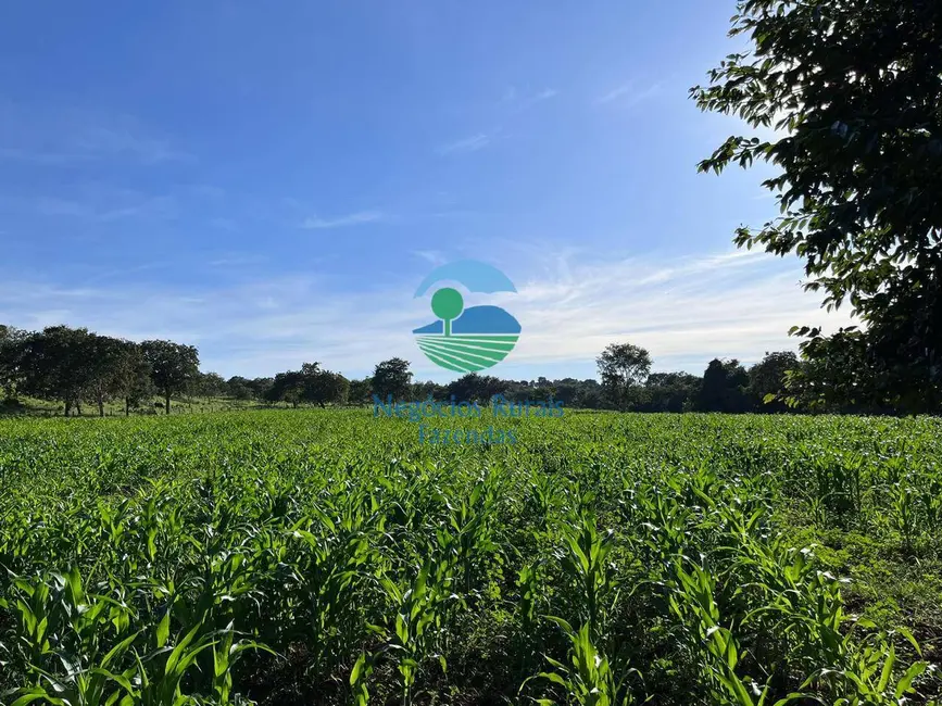 Foto 7 de Fazenda / Haras com 5 quartos à venda, 208m2 em Crixas - GO