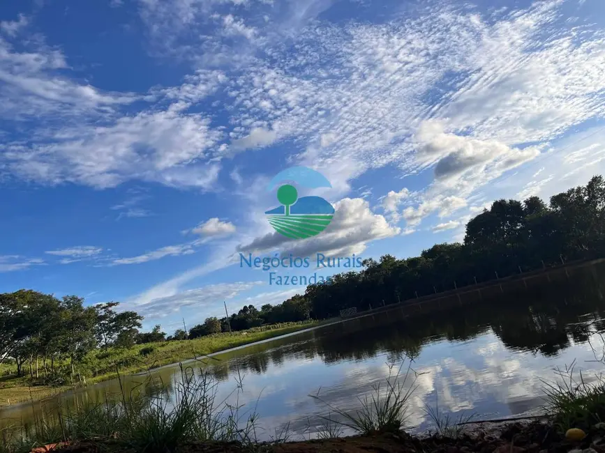 Foto 1 de Fazenda / Haras com 5 quartos à venda, 208m2 em Crixas - GO