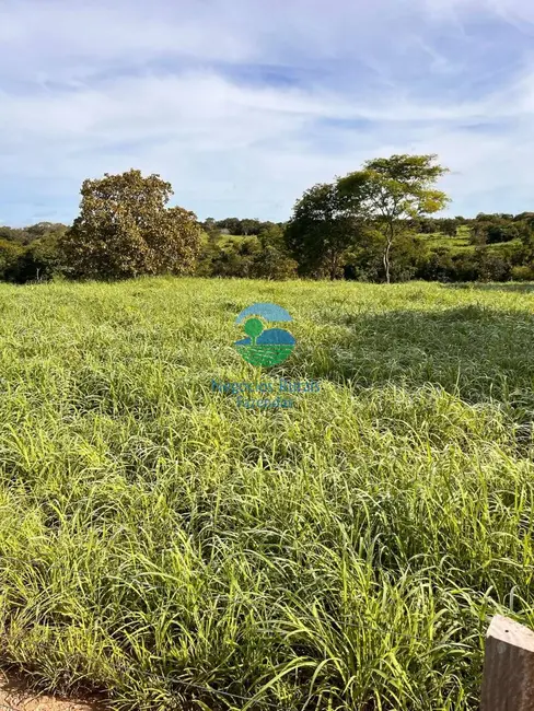 Foto 3 de Fazenda / Haras com 5 quartos à venda, 208m2 em Crixas - GO