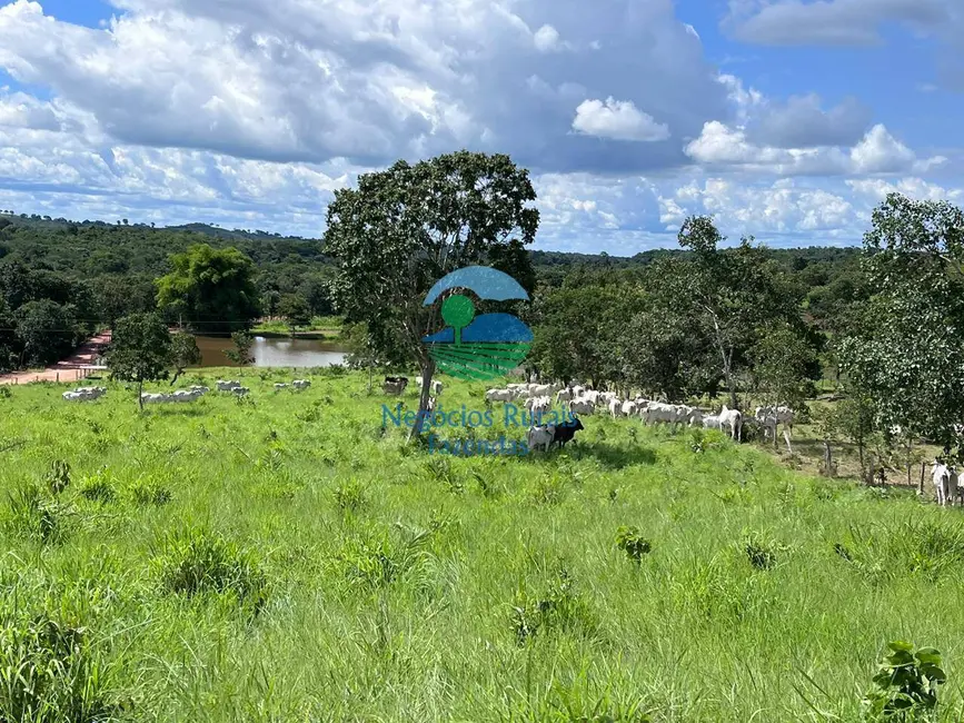 Foto 2 de Fazenda / Haras com 5 quartos à venda, 208m2 em Crixas - GO