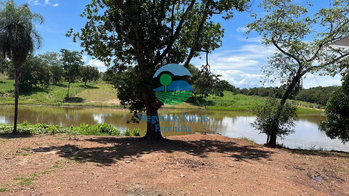 Foto 5 de Fazenda / Haras com 5 quartos à venda, 208m2 em Crixas - GO