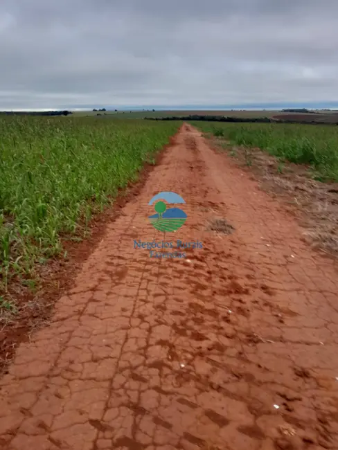 Foto 3 de Fazenda / Haras com 8 quartos à venda, 3460m2 em Morrinhos - GO