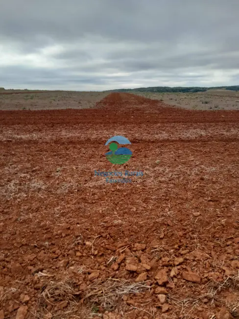 Foto 2 de Fazenda / Haras com 8 quartos à venda, 3460m2 em Morrinhos - GO