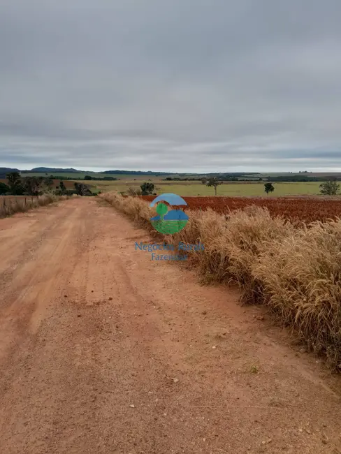Foto 7 de Fazenda / Haras com 8 quartos à venda, 3460m2 em Morrinhos - GO