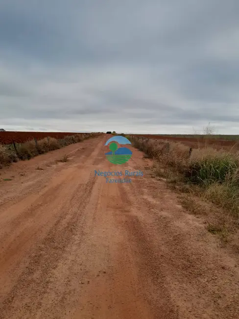 Foto 9 de Fazenda / Haras com 8 quartos à venda, 3460m2 em Morrinhos - GO