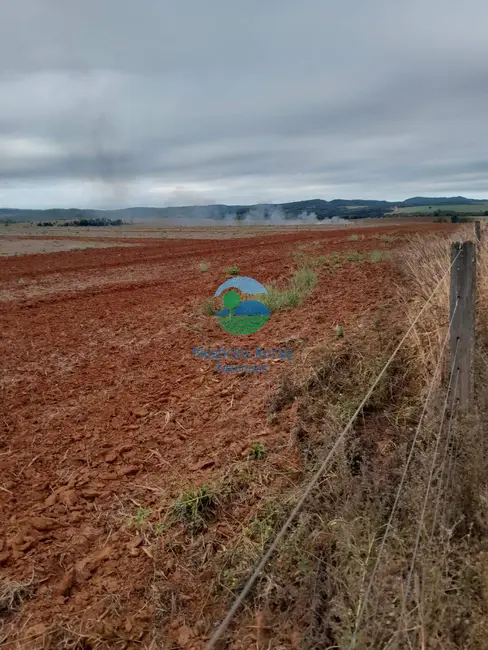 Foto 4 de Fazenda / Haras com 8 quartos à venda, 3460m2 em Morrinhos - GO