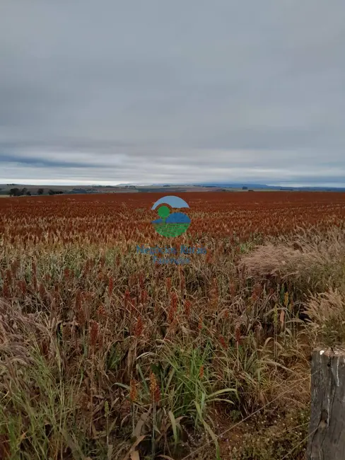 Foto 5 de Fazenda / Haras com 8 quartos à venda, 3460m2 em Morrinhos - GO