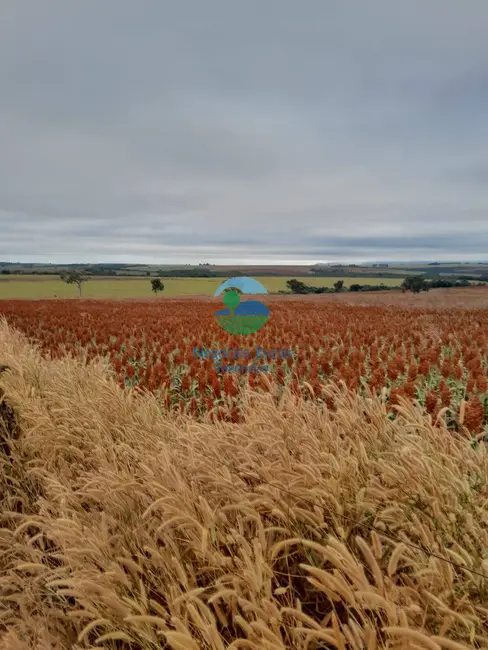 Foto 6 de Fazenda / Haras com 8 quartos à venda, 3460m2 em Morrinhos - GO