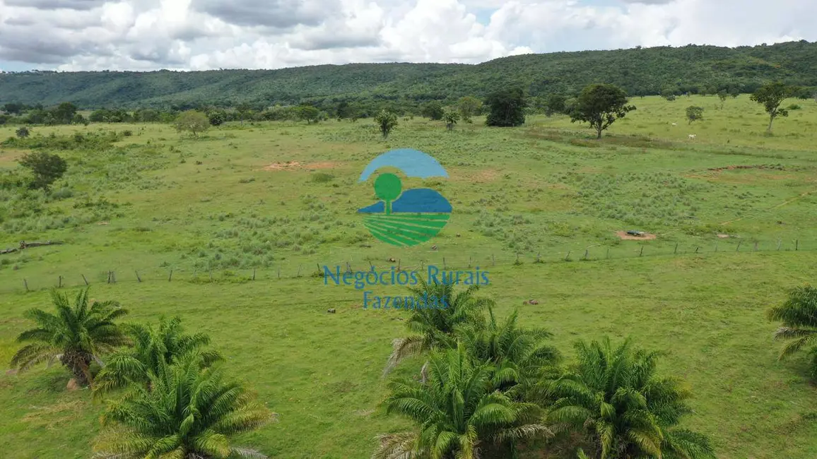 Foto 7 de Fazenda / Haras com 8 quartos à venda, 1698m2 em Setor Central, Jussara - GO