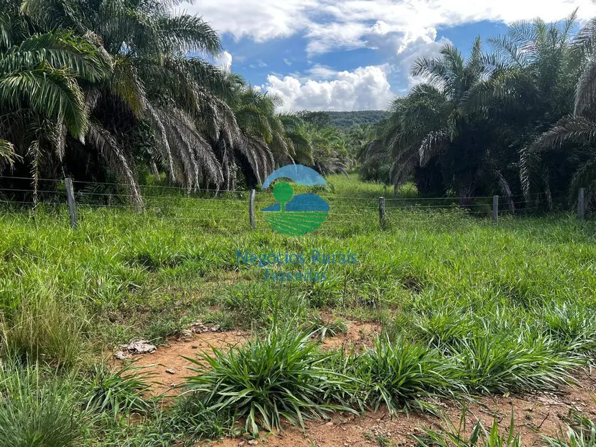 Foto 3 de Fazenda / Haras com 8 quartos à venda, 1698m2 em Setor Central, Jussara - GO