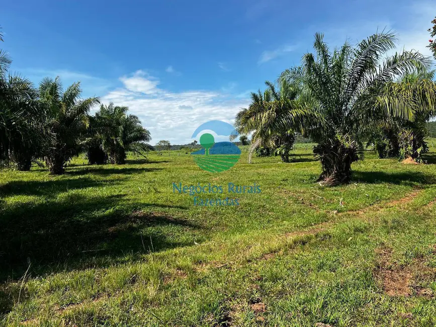 Foto 4 de Fazenda / Haras com 8 quartos à venda, 1698m2 em Setor Central, Jussara - GO