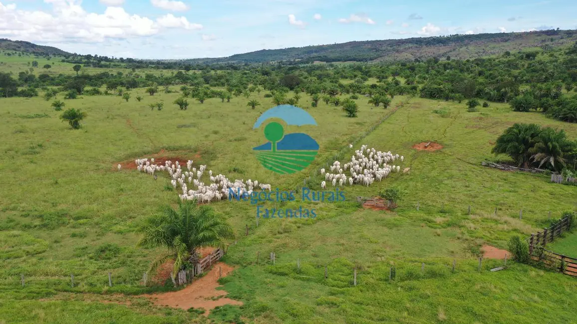 Foto 1 de Fazenda / Haras com 8 quartos à venda, 1698m2 em Setor Central, Jussara - GO