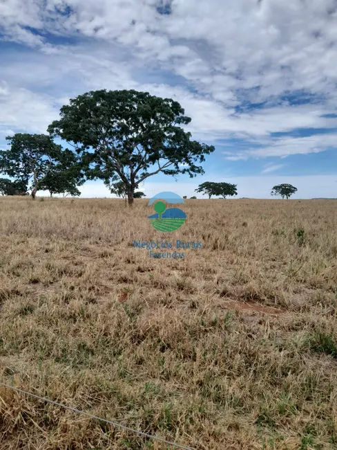 Foto 6 de Fazenda / Haras com 7 quartos à venda, 793m2 em Setor Central, Ipameri - GO