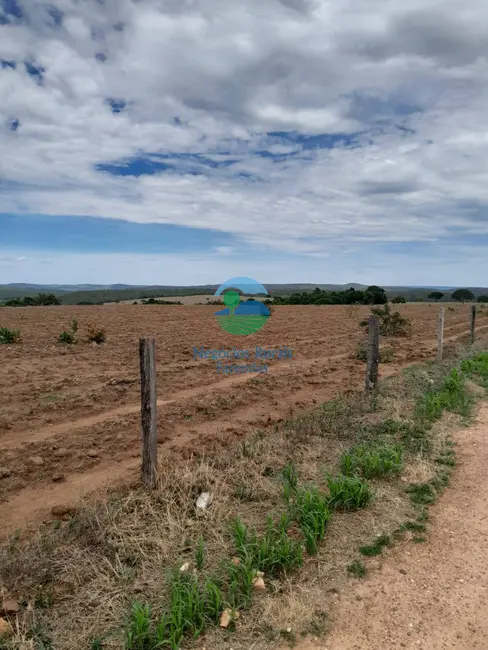 Foto 7 de Fazenda / Haras com 7 quartos à venda, 793m2 em Setor Central, Ipameri - GO