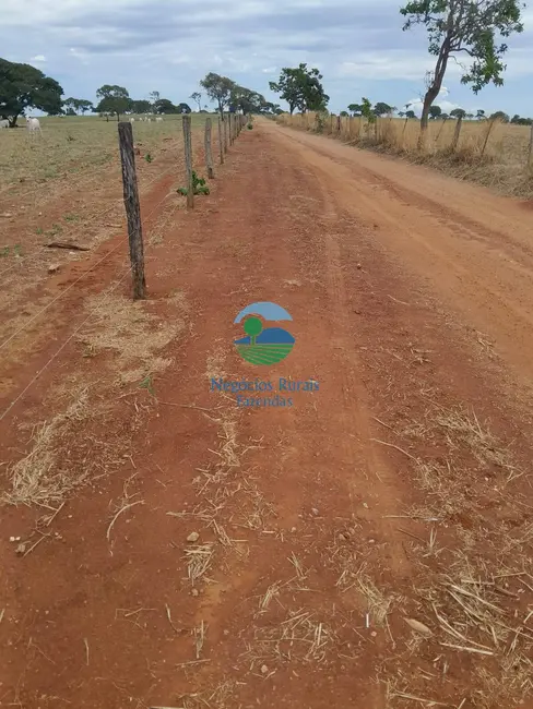 Foto 4 de Fazenda / Haras com 7 quartos à venda, 793m2 em Setor Central, Ipameri - GO
