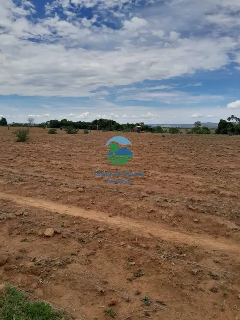 Foto 5 de Fazenda / Haras com 7 quartos à venda, 793m2 em Setor Central, Ipameri - GO