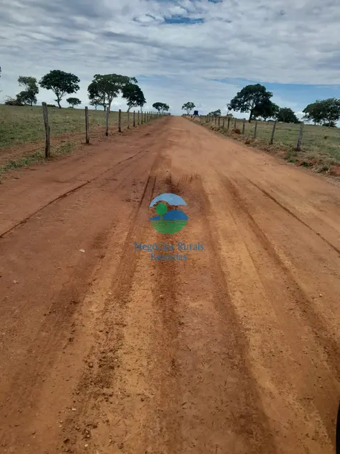 Foto 1 de Fazenda / Haras com 7 quartos à venda, 793m2 em Setor Central, Ipameri - GO
