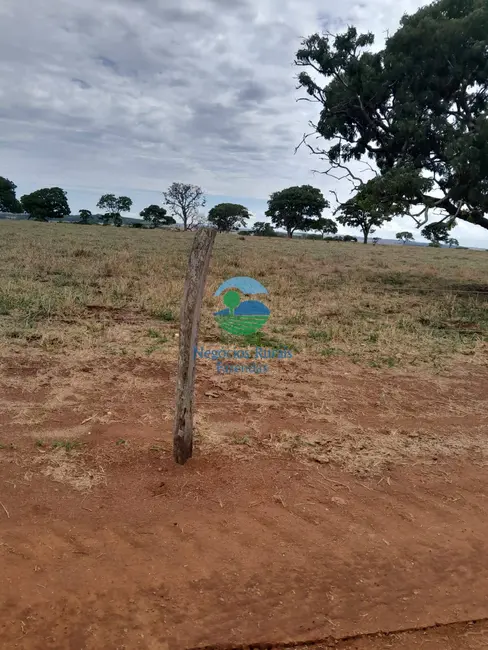 Foto 8 de Fazenda / Haras com 7 quartos à venda, 793m2 em Setor Central, Ipameri - GO