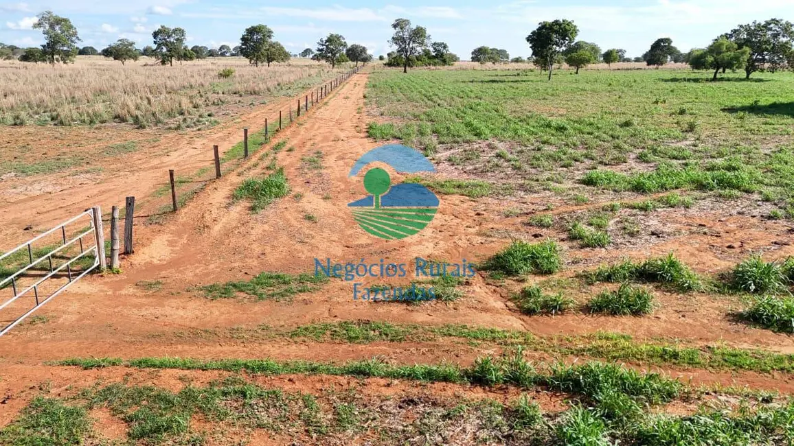 Foto 6 de Fazenda / Haras à venda, 711m2 em Araguacu - TO