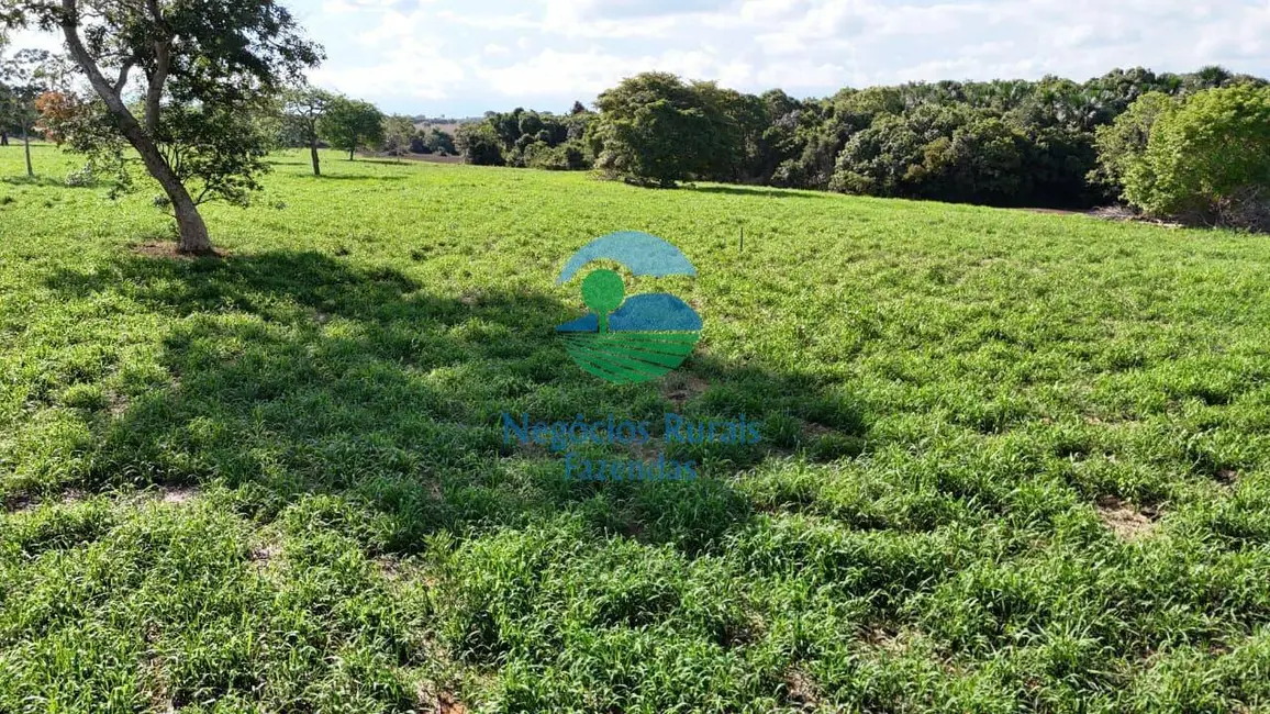 Foto 5 de Fazenda / Haras à venda, 711m2 em Araguacu - TO