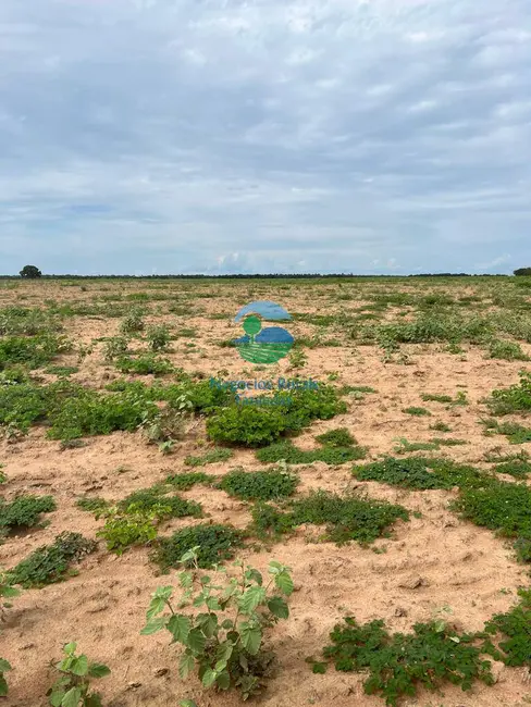 Foto 8 de Fazenda / Haras à venda, 1360m2 em Figueiropolis - TO