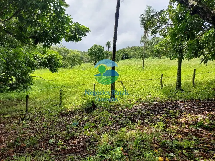 Foto 6 de Fazenda / Haras com 3 quartos à venda, 87m2 em Bela Vista De Goias - GO