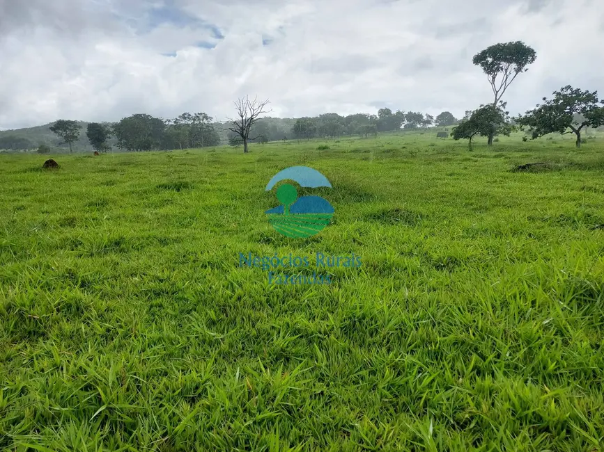 Foto 9 de Fazenda / Haras com 3 quartos à venda, 87m2 em Bela Vista De Goias - GO