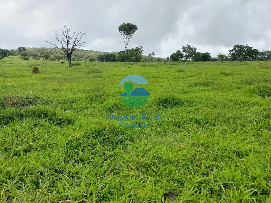 Foto 8 de Fazenda / Haras com 3 quartos à venda, 87m2 em Bela Vista De Goias - GO