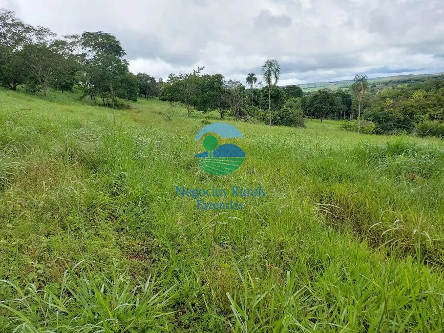 Foto 5 de Fazenda / Haras com 3 quartos à venda, 87m2 em Bela Vista De Goias - GO