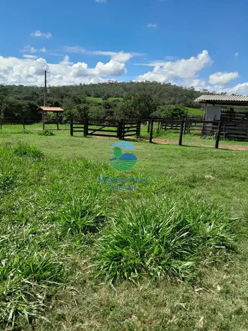 Fazenda / Haras com 3 quartos à venda, 203m2 em Pires Do Rio - GO - imagem 2 Foto 2 de Fazenda / Haras com 3 quartos à venda, 203m2 em Pires Do Rio - GO