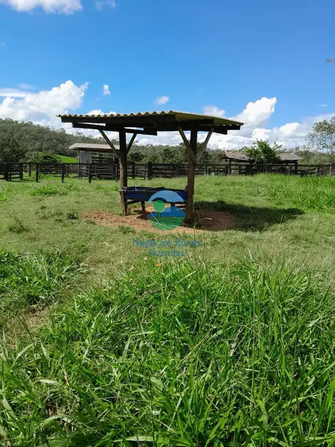 Fazenda / Haras com 3 quartos à venda, 203m2 em Pires Do Rio - GO - imagem 9 Foto 9 de Fazenda / Haras com 3 quartos à venda, 203m2 em Pires Do Rio - GO