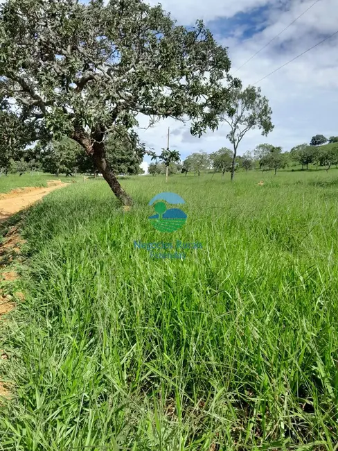 Fazenda / Haras com 3 quartos à venda, 203m2 em Pires Do Rio - GO - imagem 3 Foto 3 de Fazenda / Haras com 3 quartos à venda, 203m2 em Pires Do Rio - GO