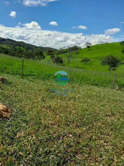 Fazenda / Haras com 3 quartos à venda, 203m2 em Pires Do Rio - GO - imagem 8 Foto 8 de Fazenda / Haras com 3 quartos à venda, 203m2 em Pires Do Rio - GO