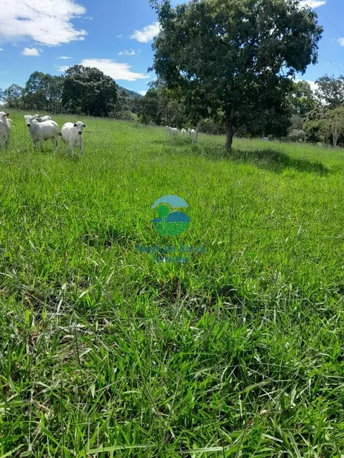 Fazenda / Haras com 3 quartos à venda, 203m2 em Pires Do Rio - GO - imagem 7 Foto 7 de Fazenda / Haras com 3 quartos à venda, 203m2 em Pires Do Rio - GO