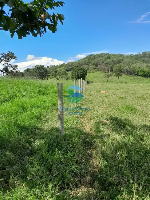Fazenda / Haras com 3 quartos à venda, 203m2 em Pires Do Rio - GO - imagem 4 Foto 4 de Fazenda / Haras com 3 quartos à venda, 203m2 em Pires Do Rio - GO