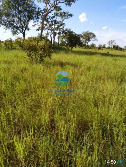 Foto 1 de Fazenda / Haras com 4 quartos à venda, 992m2 em Nova Olinda - TO
