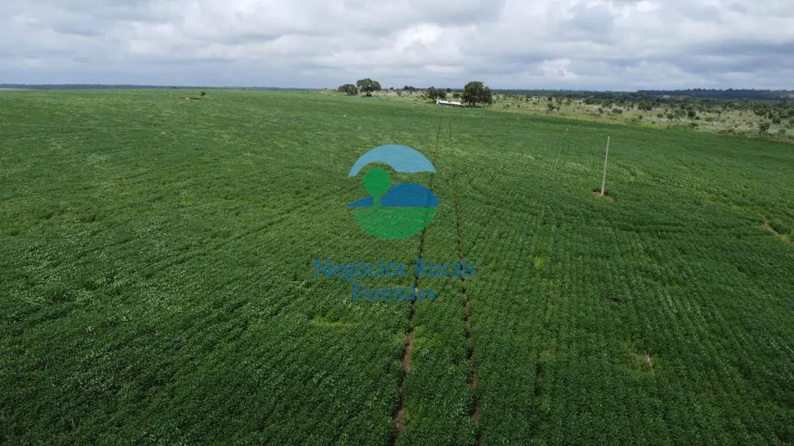 Foto 1 de Fazenda / Haras com 3 quartos à venda, 3300m2 em Área Rural de Araguaína, Araguaina - TO