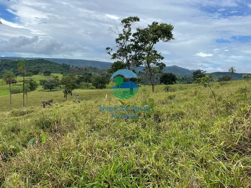 Foto 7 de Fazenda / Haras com 3 quartos à venda, 324m2 em Formoso - GO