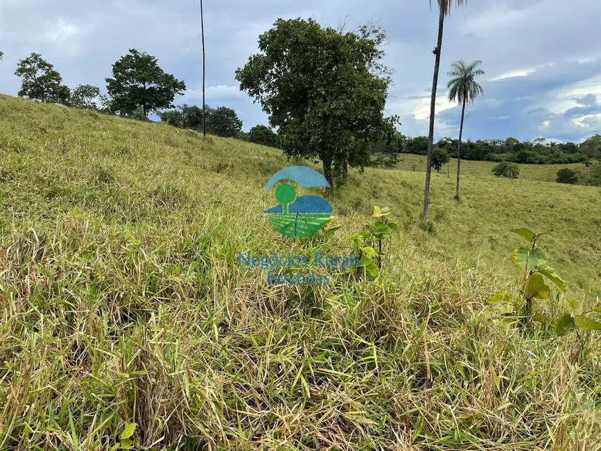 Foto 6 de Fazenda / Haras com 3 quartos à venda, 324m2 em Formoso - GO