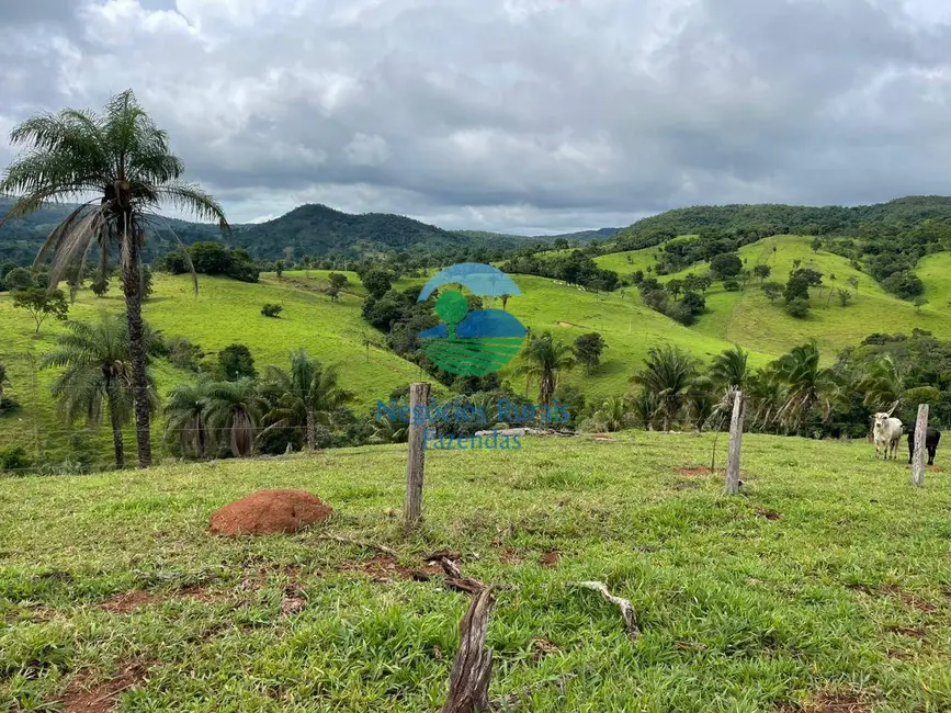 Foto 4 de Fazenda / Haras com 3 quartos à venda, 324m2 em Formoso - GO