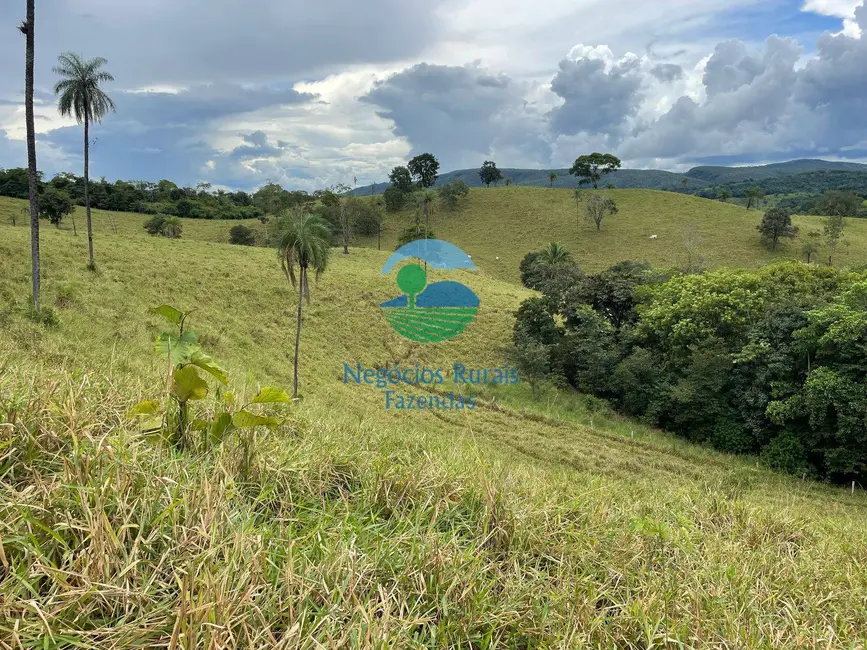 Foto 5 de Fazenda / Haras com 3 quartos à venda, 324m2 em Formoso - GO