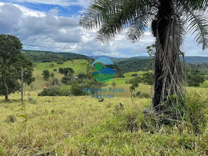 Foto 8 de Fazenda / Haras com 3 quartos à venda, 324m2 em Formoso - GO