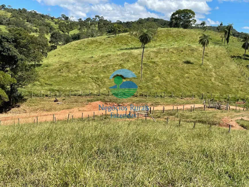 Foto 9 de Fazenda / Haras com 3 quartos à venda, 324m2 em Formoso - GO