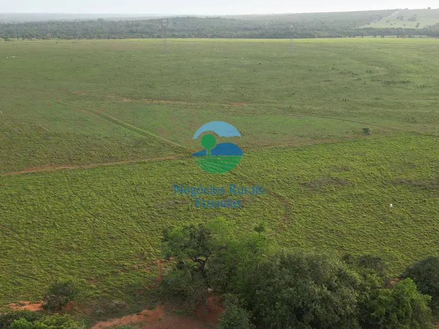 Foto 1 de Fazenda / Haras com 5 quartos à venda, 733m2 em Guarai - TO