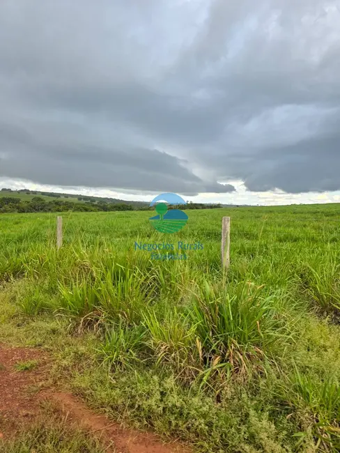 Foto 2 de Fazenda / Haras com 5 quartos à venda, 733m2 em Guarai - TO