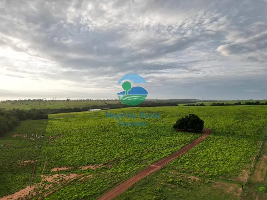 Foto 3 de Fazenda / Haras com 5 quartos à venda, 733m2 em Guarai - TO