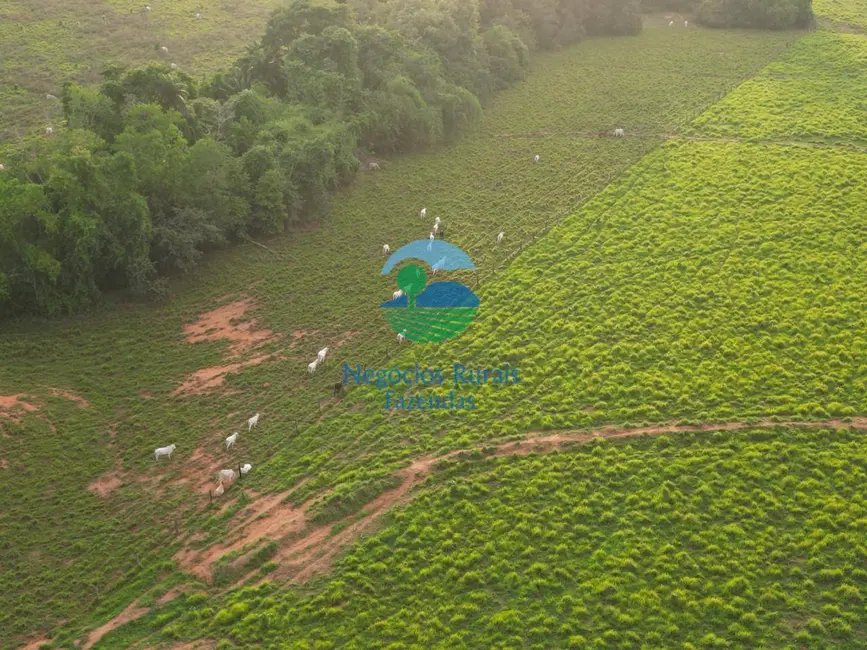 Foto 4 de Fazenda / Haras com 5 quartos à venda, 733m2 em Guarai - TO