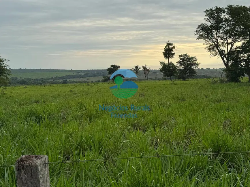 Foto 5 de Fazenda / Haras com 5 quartos à venda, 733m2 em Guarai - TO